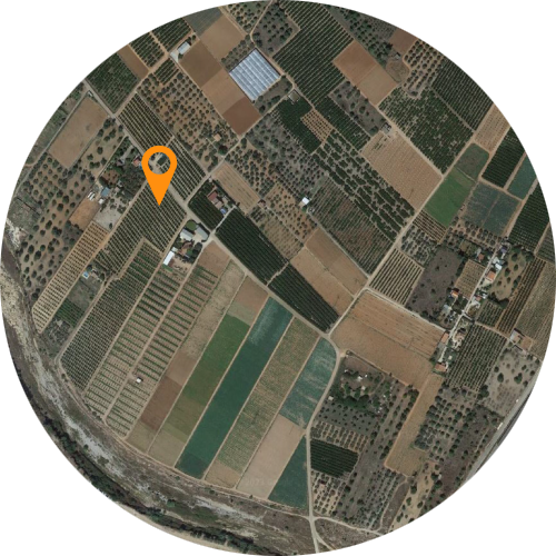 Mapa de la ubicación exacta del huerto NaranjaMe.