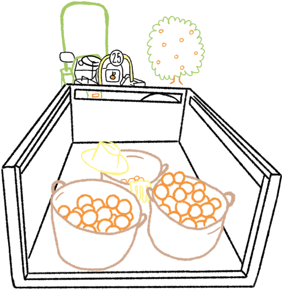 Dibujos de un tractor pequeño arrastrando un remolque cargado con tres capazos de esparto llenos de naranjas recolectadas. Encima de los capazos un sombrero y unos guantes de piel. De fondo un kumquat.