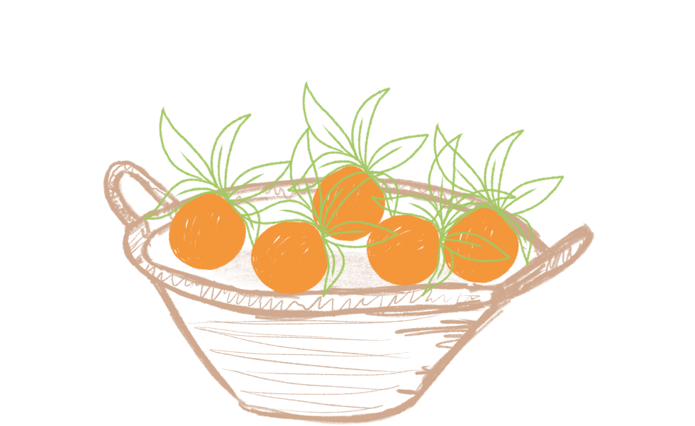 Dibujo de una caja pequeña con cinco naranjas de mesa.